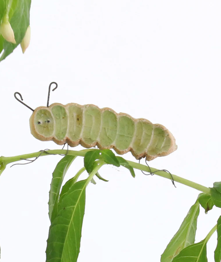 Habulous Plant Huggers - various